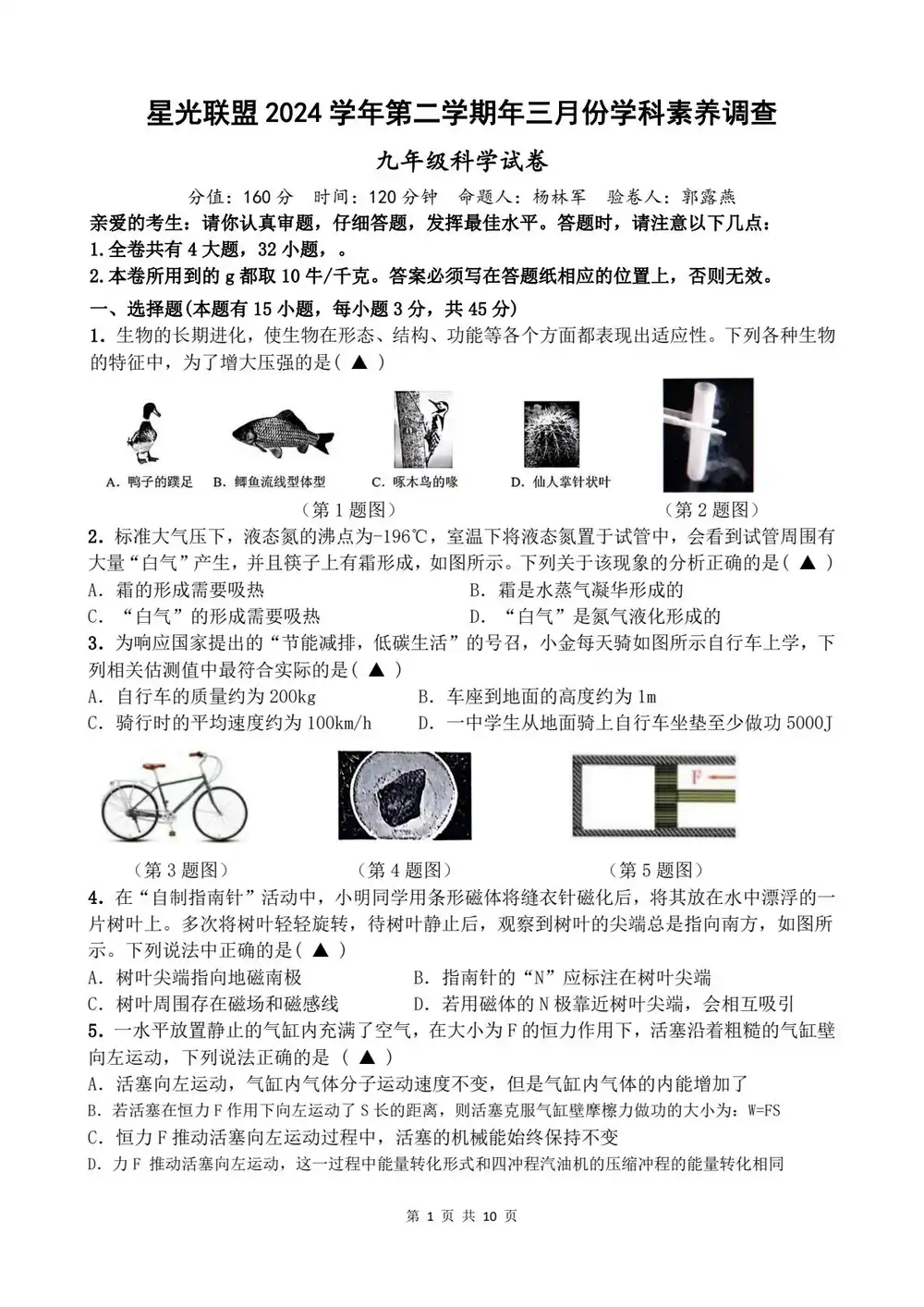 暂无预览