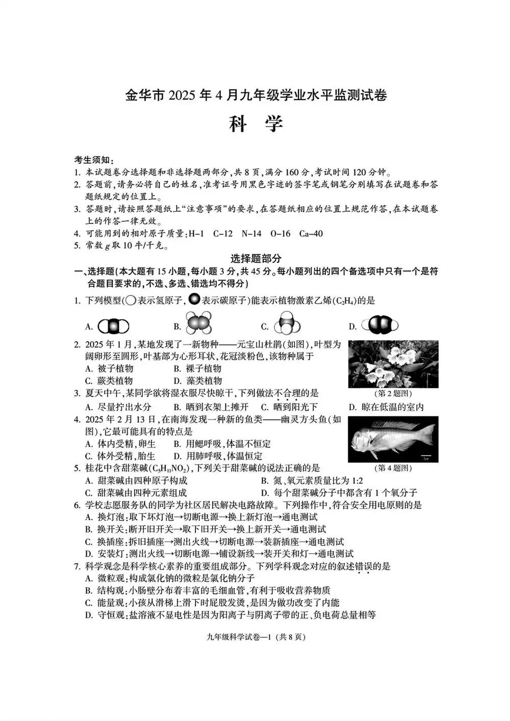 暂无预览