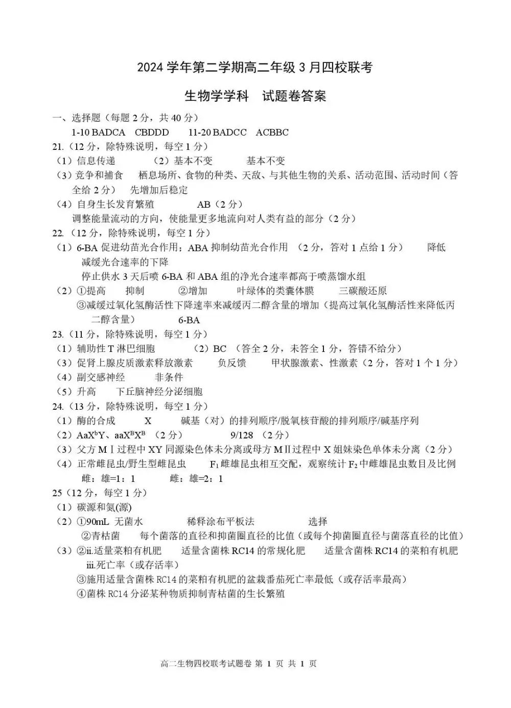 暂无预览