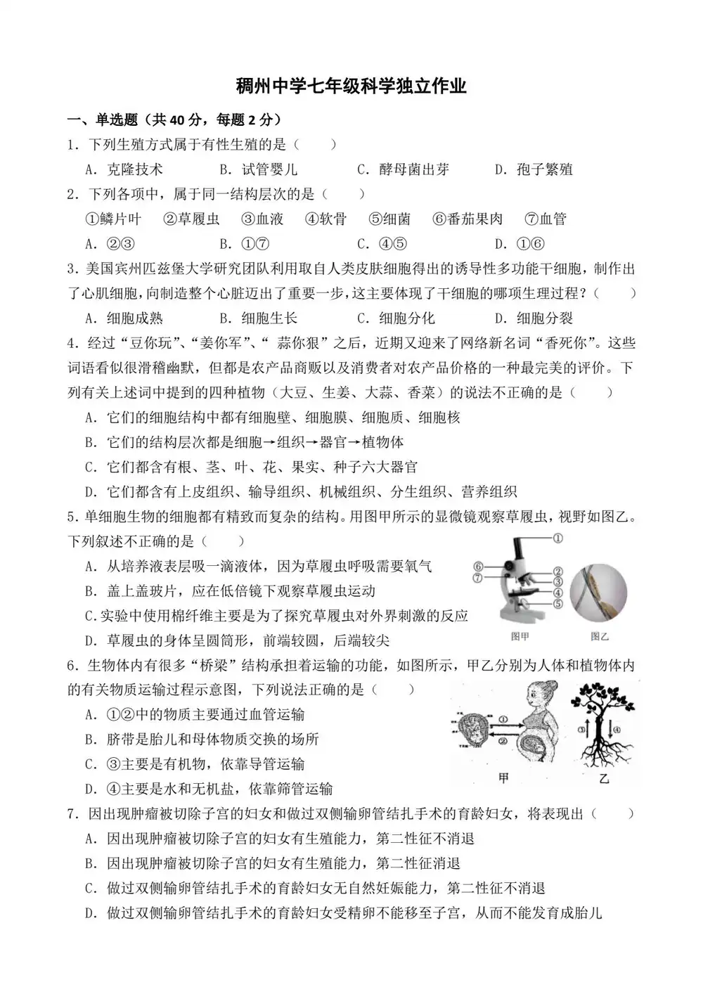 暂无预览