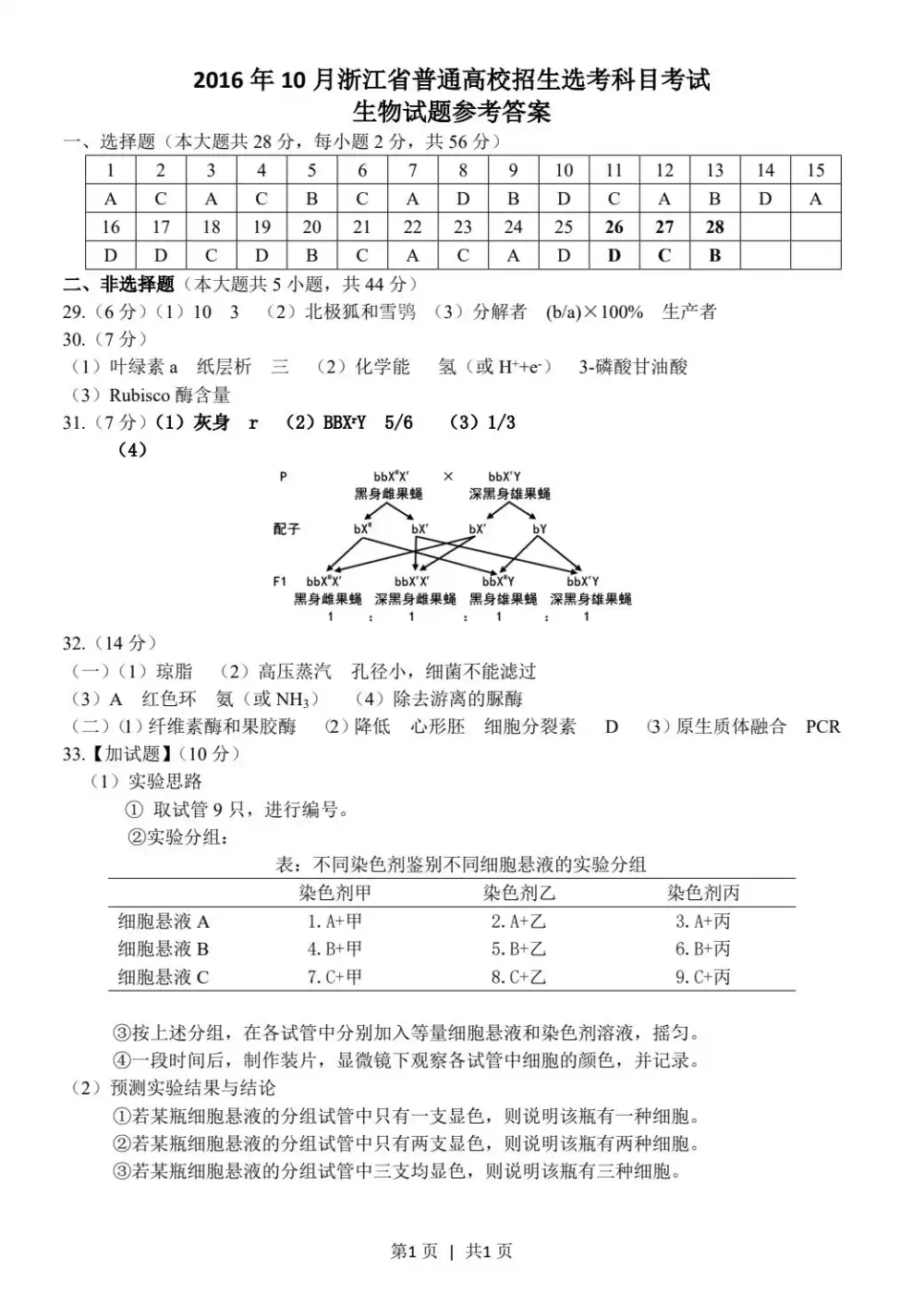 暂无预览