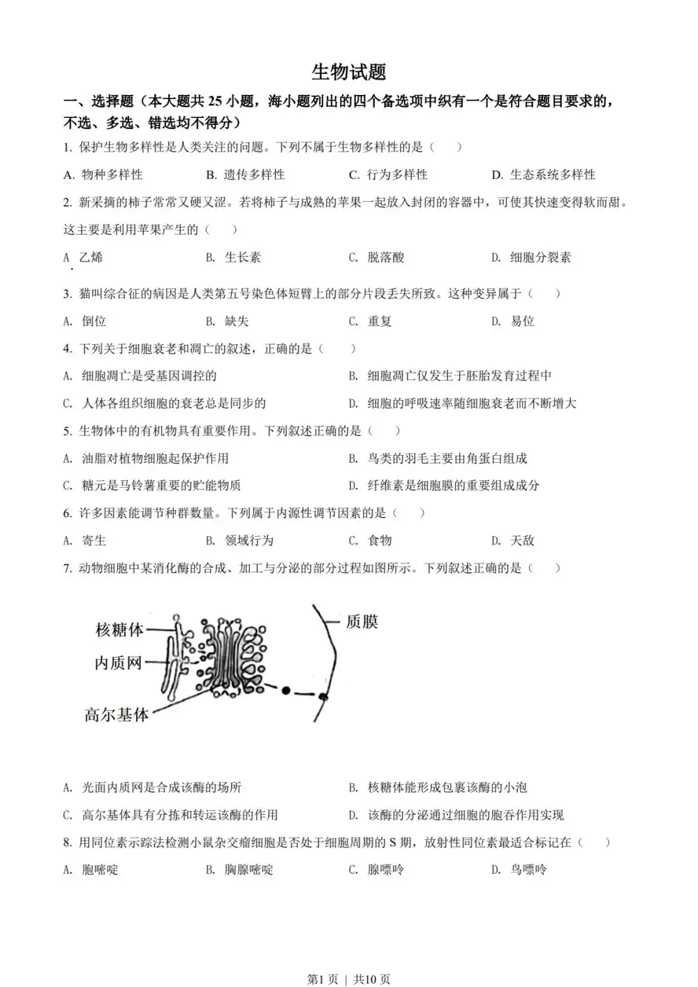 暂无预览