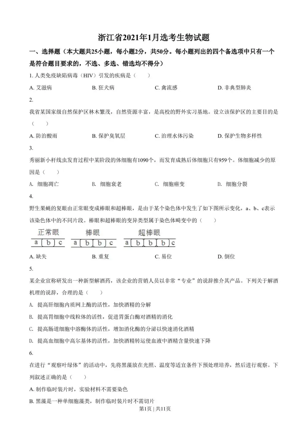 暂无预览