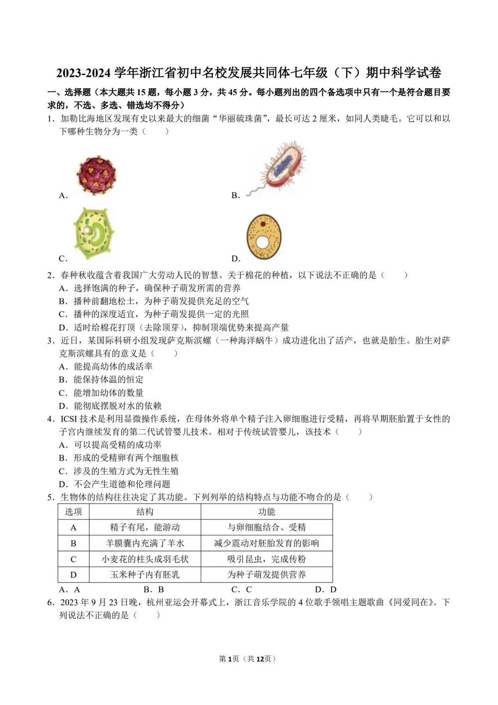 暂无预览
