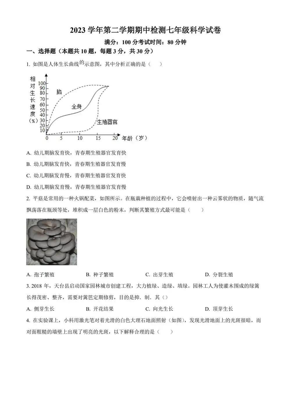 暂无预览