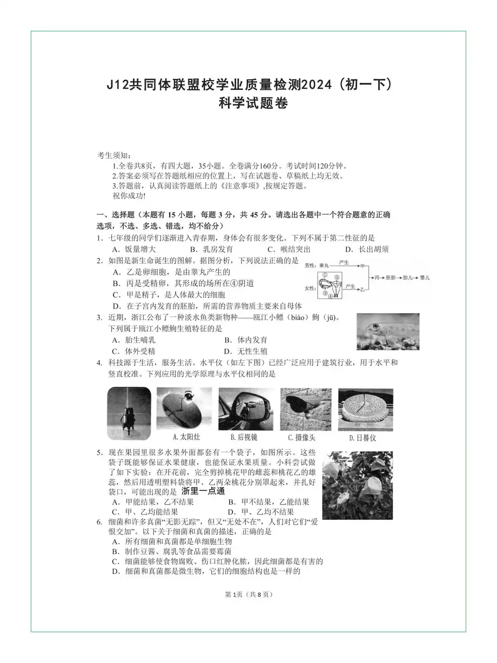 暂无预览
