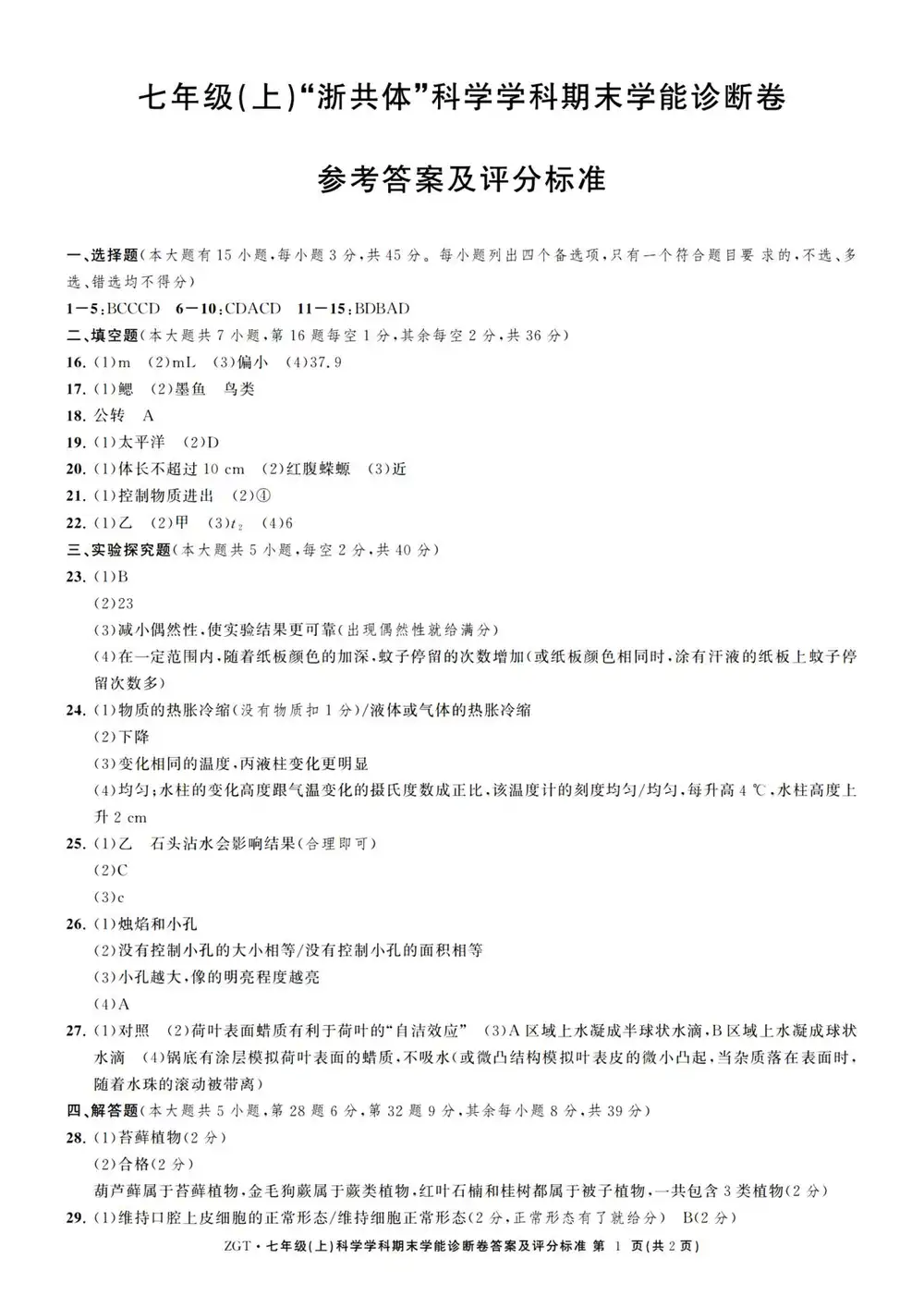 暂无预览