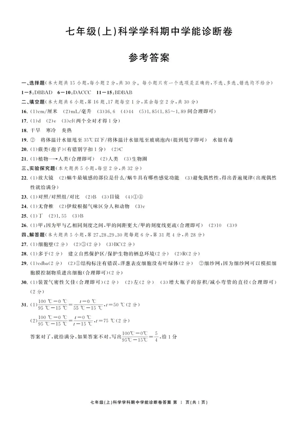 暂无预览