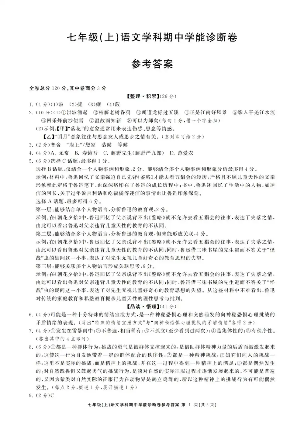 暂无预览