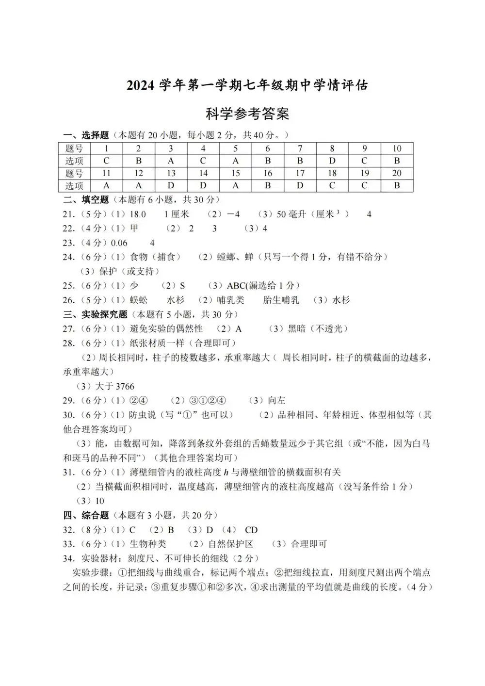 暂无预览