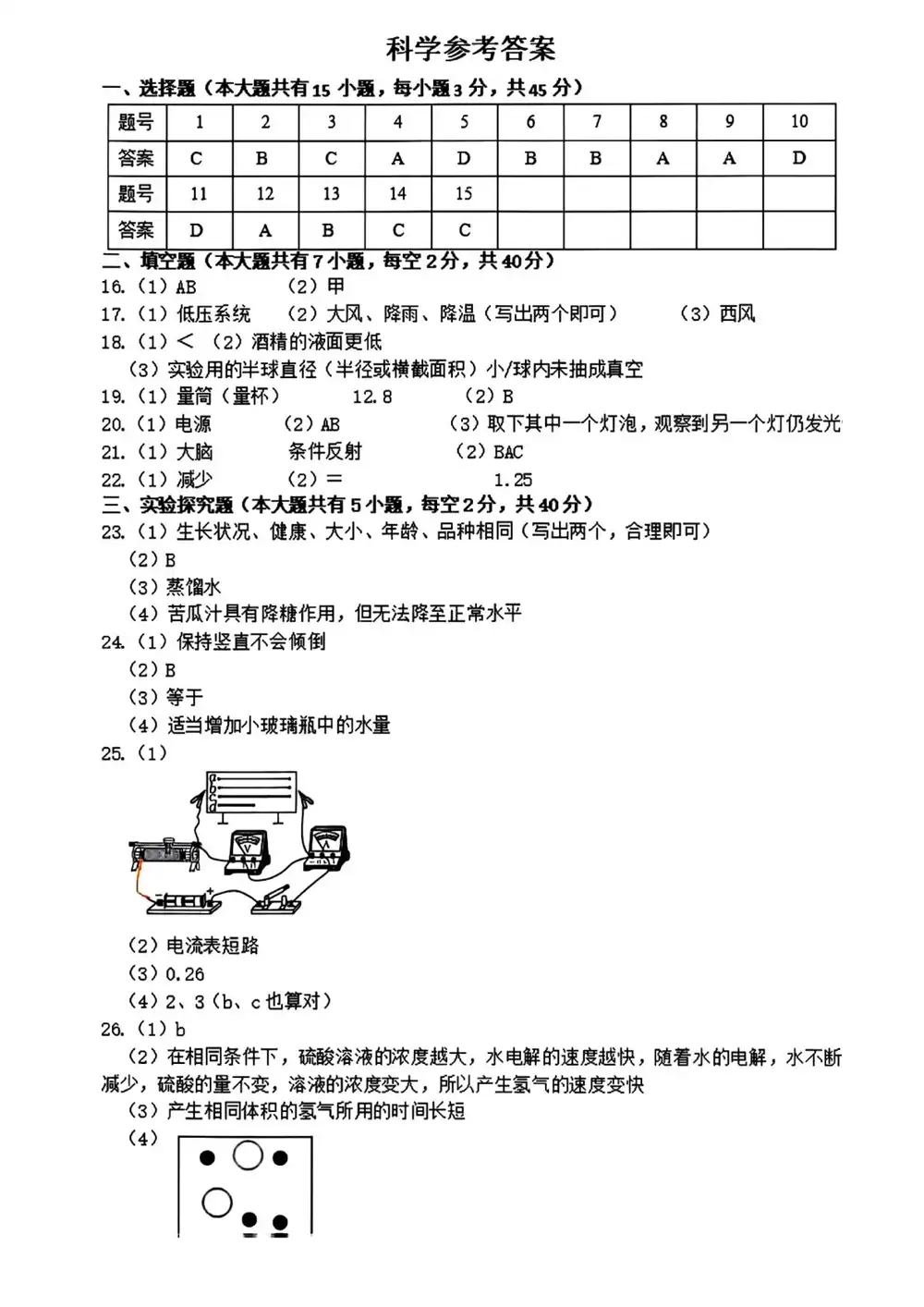 暂无预览