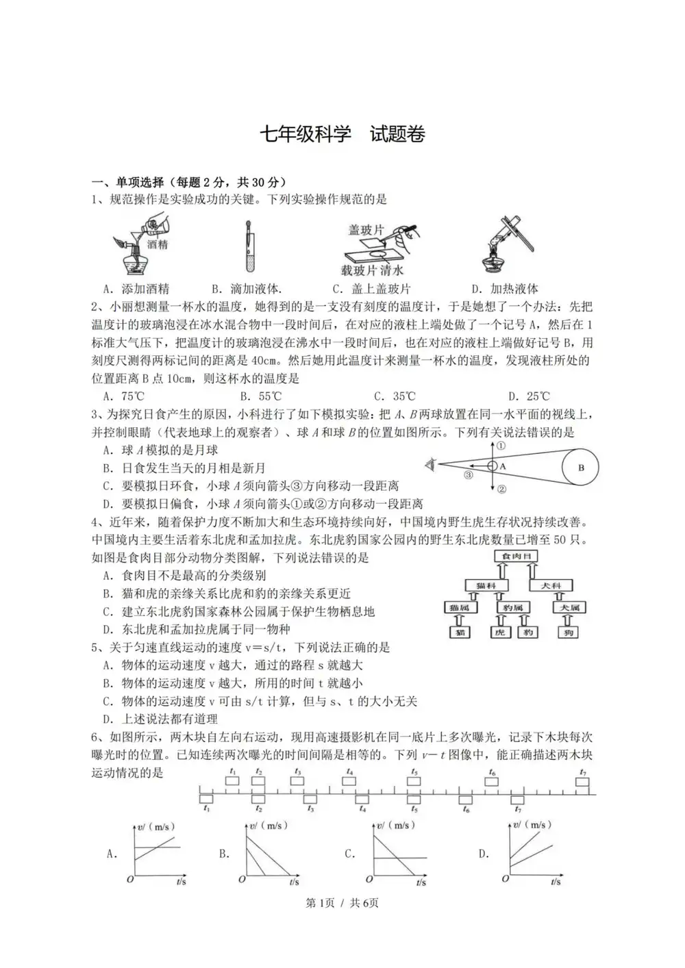 暂无预览