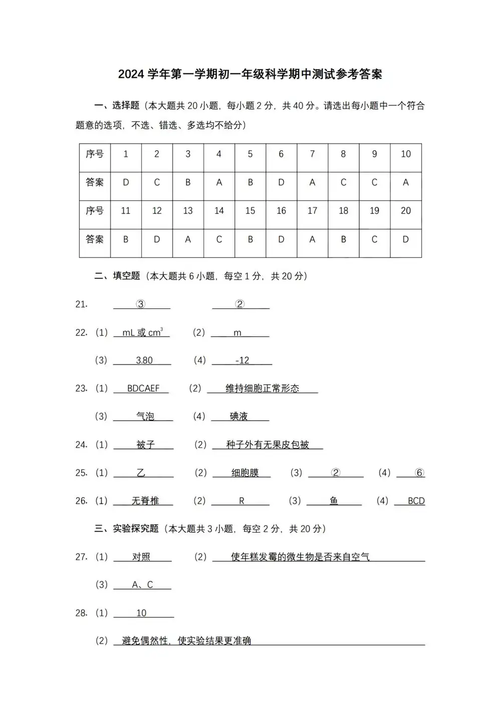 暂无预览