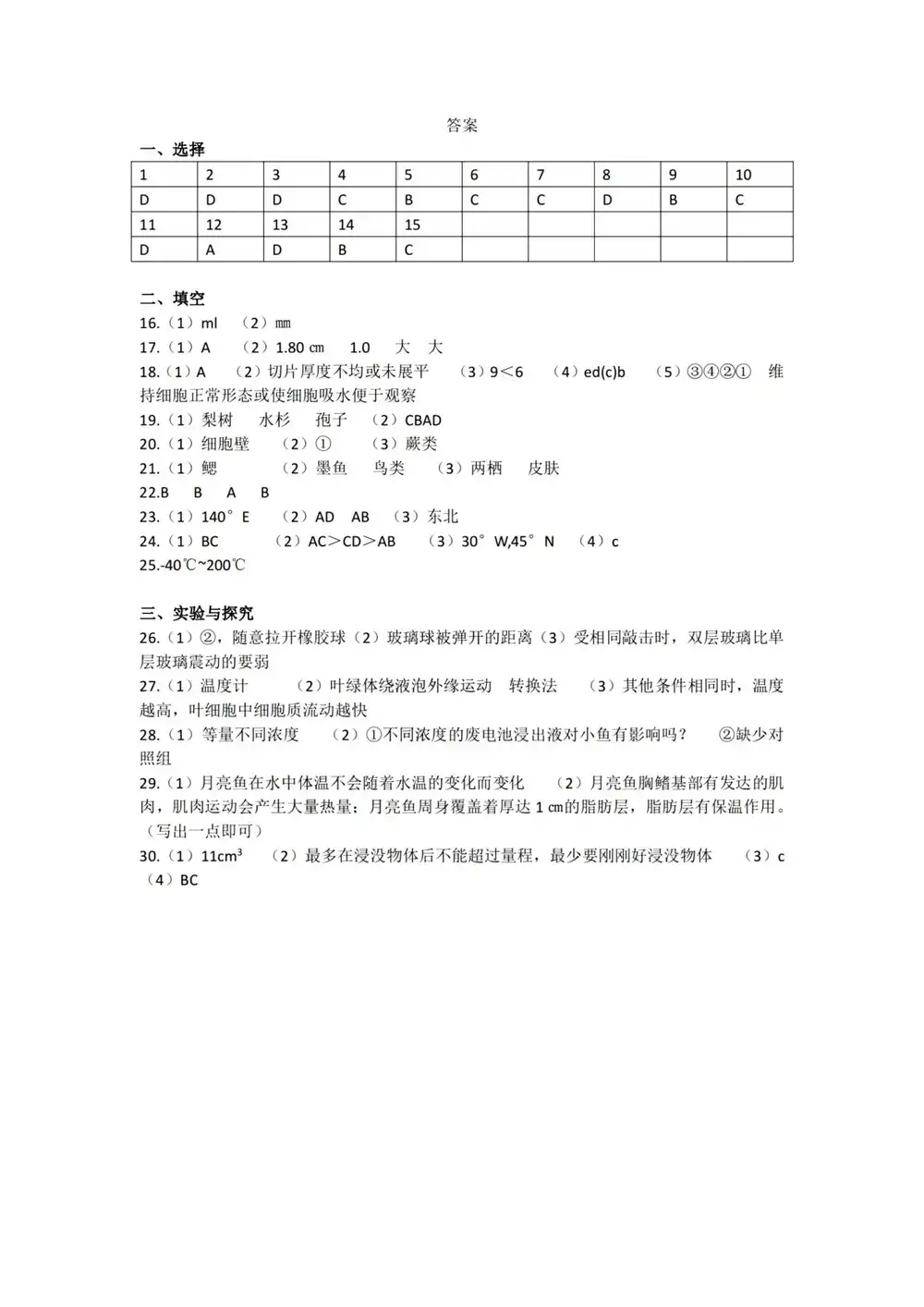 暂无预览