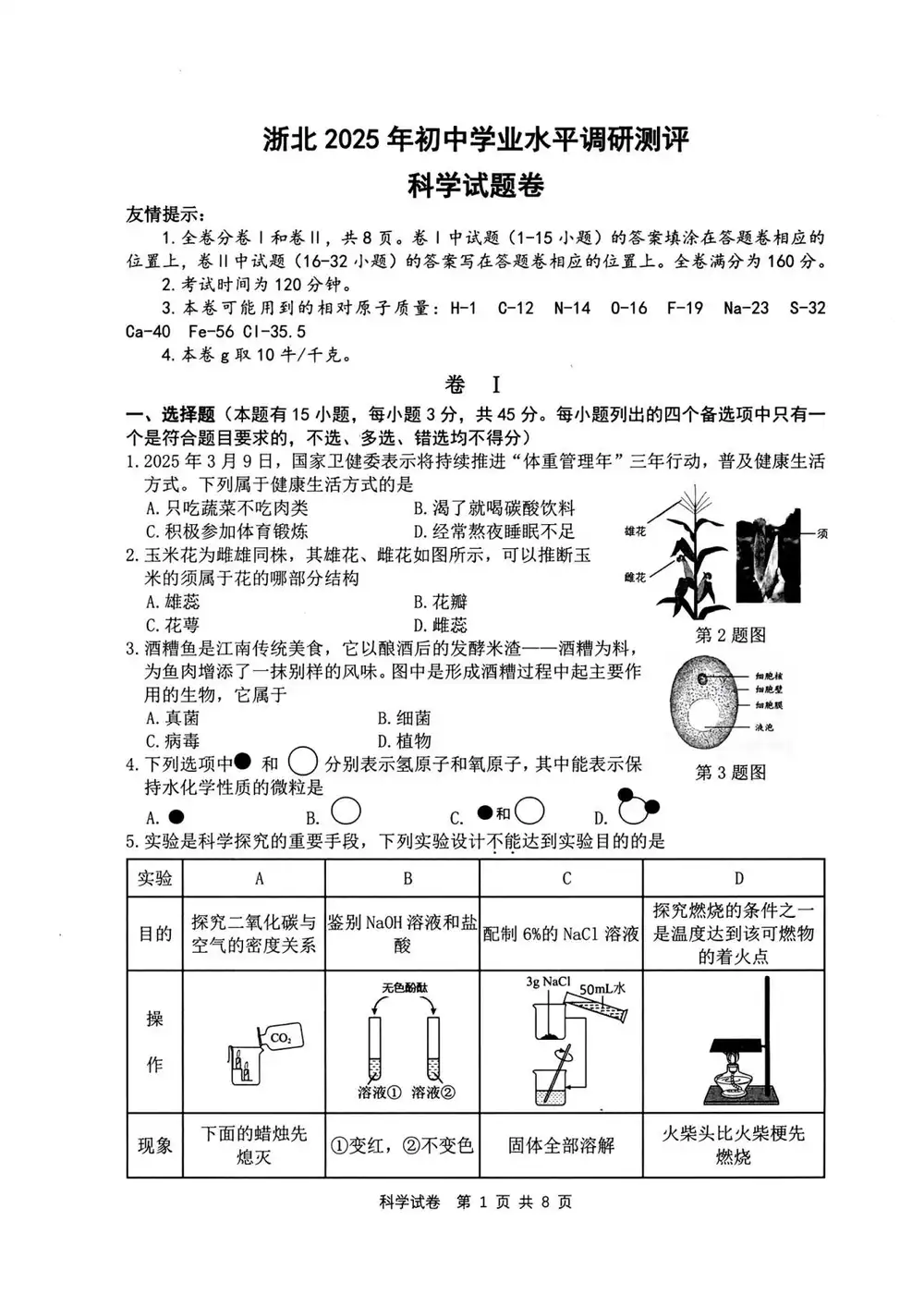 暂无预览