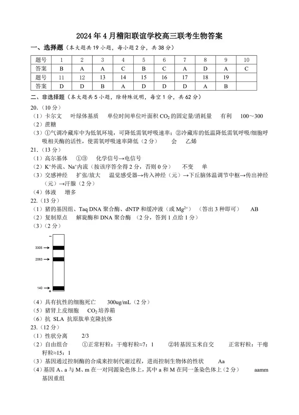 暂无预览