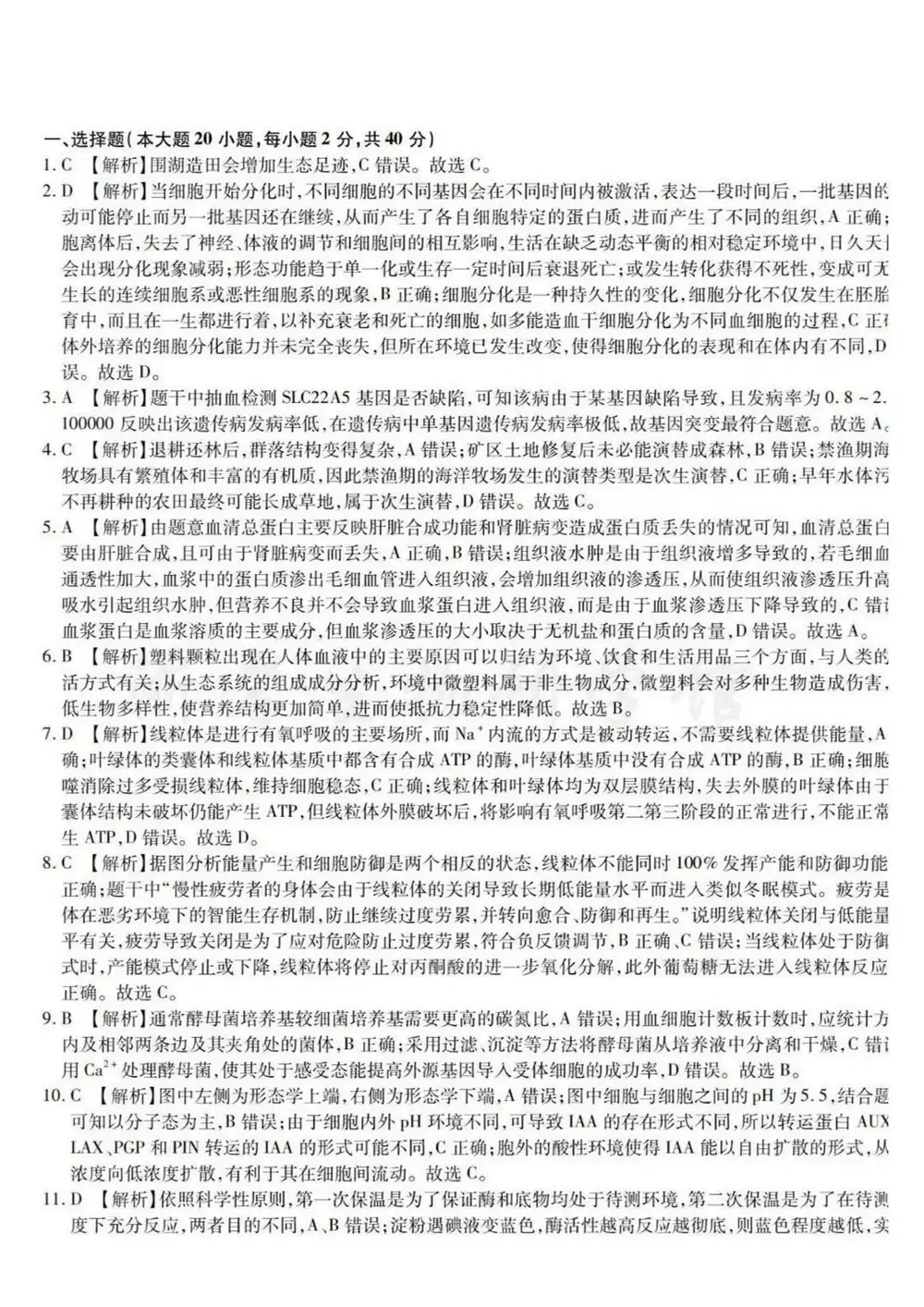 暂无预览
