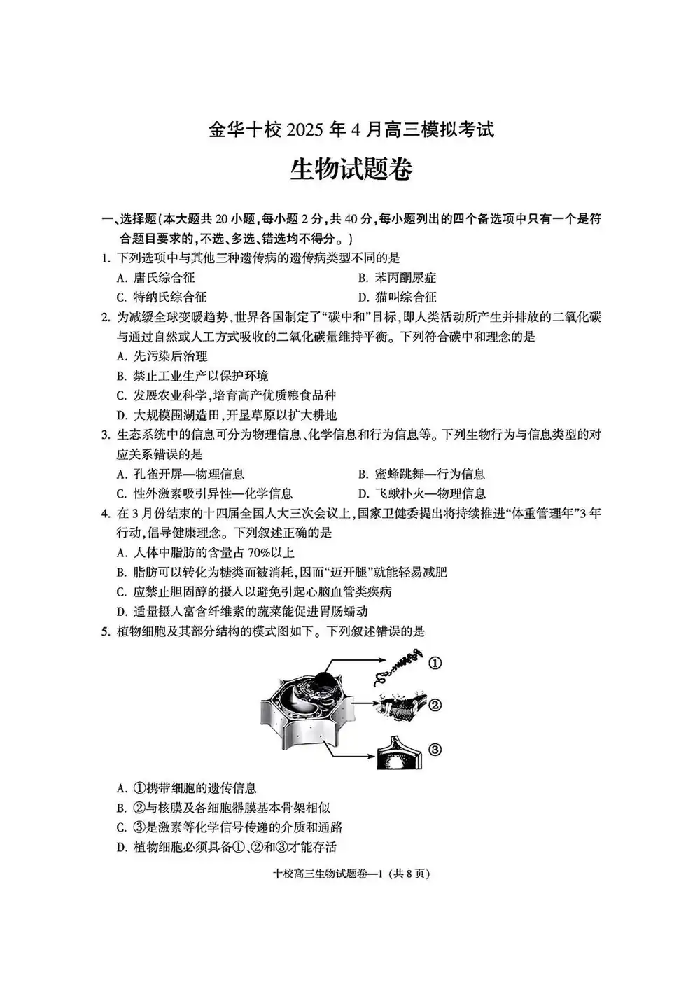 暂无预览