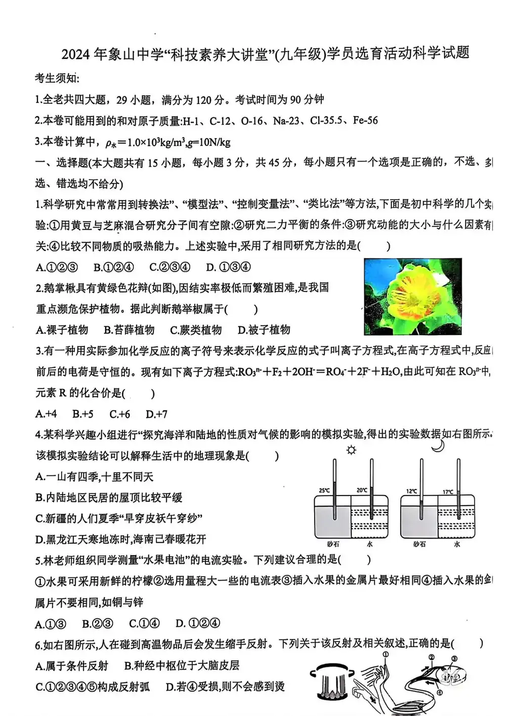 暂无预览