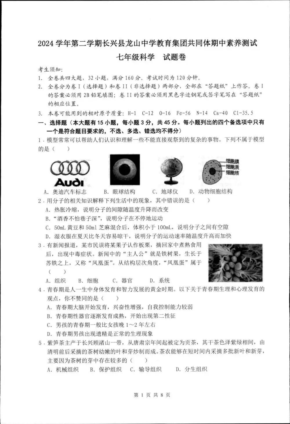 暂无预览