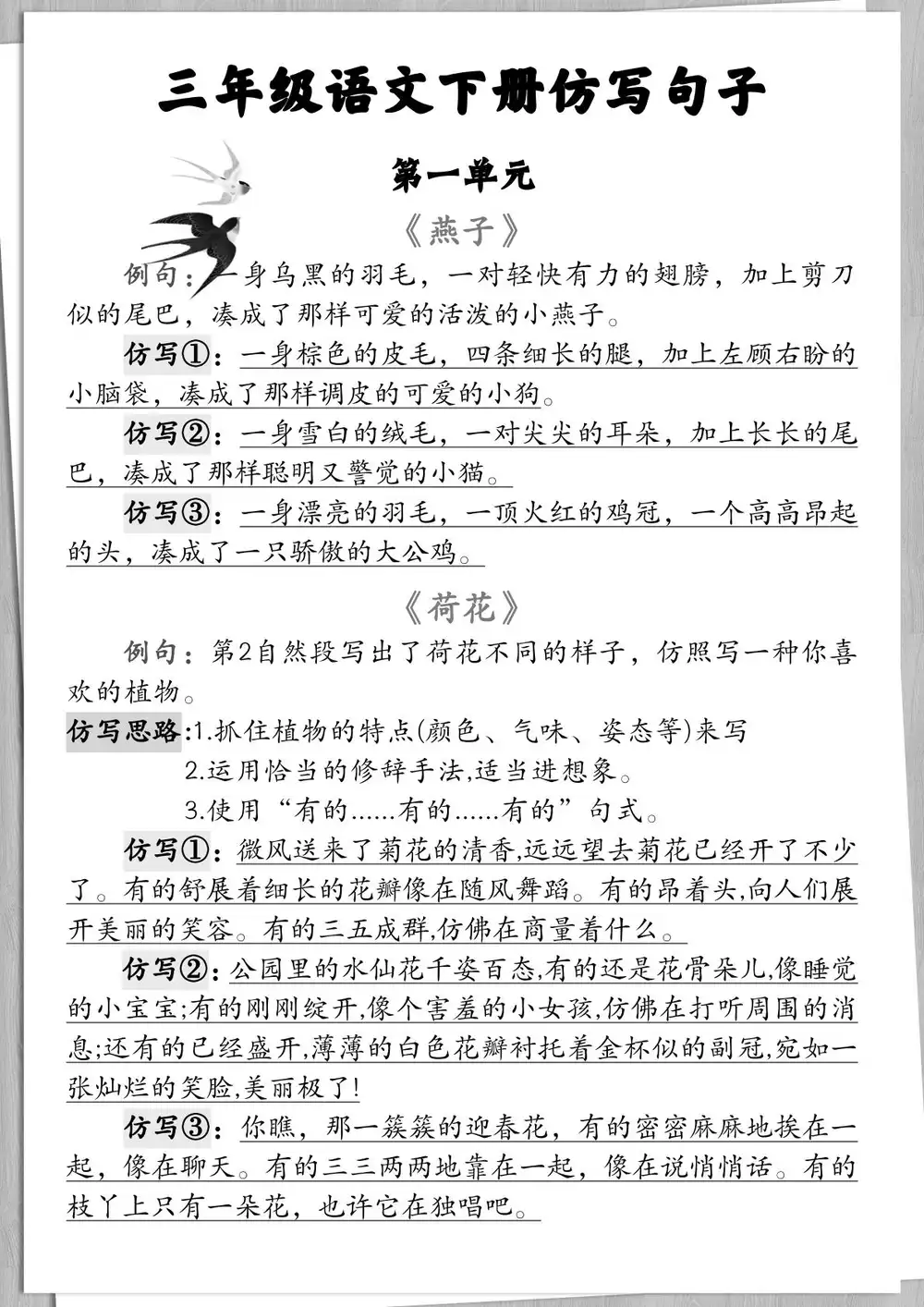 暂无预览