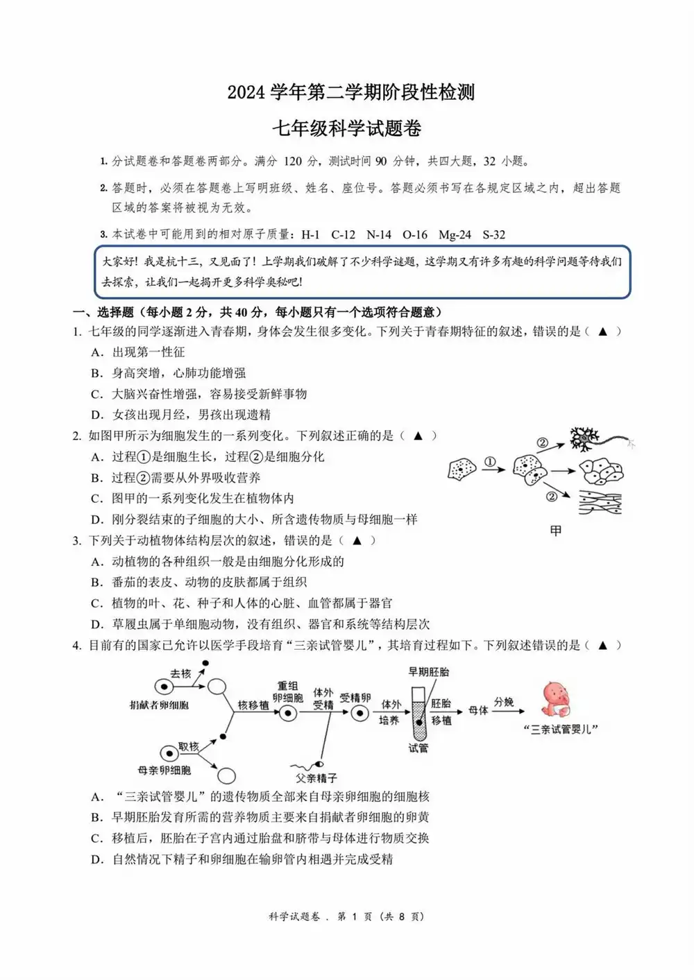 暂无预览