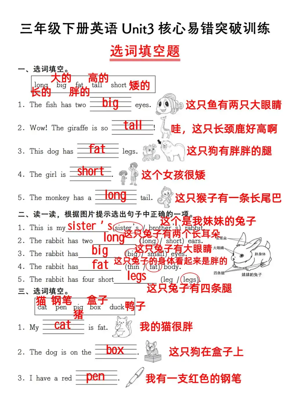 暂无预览
