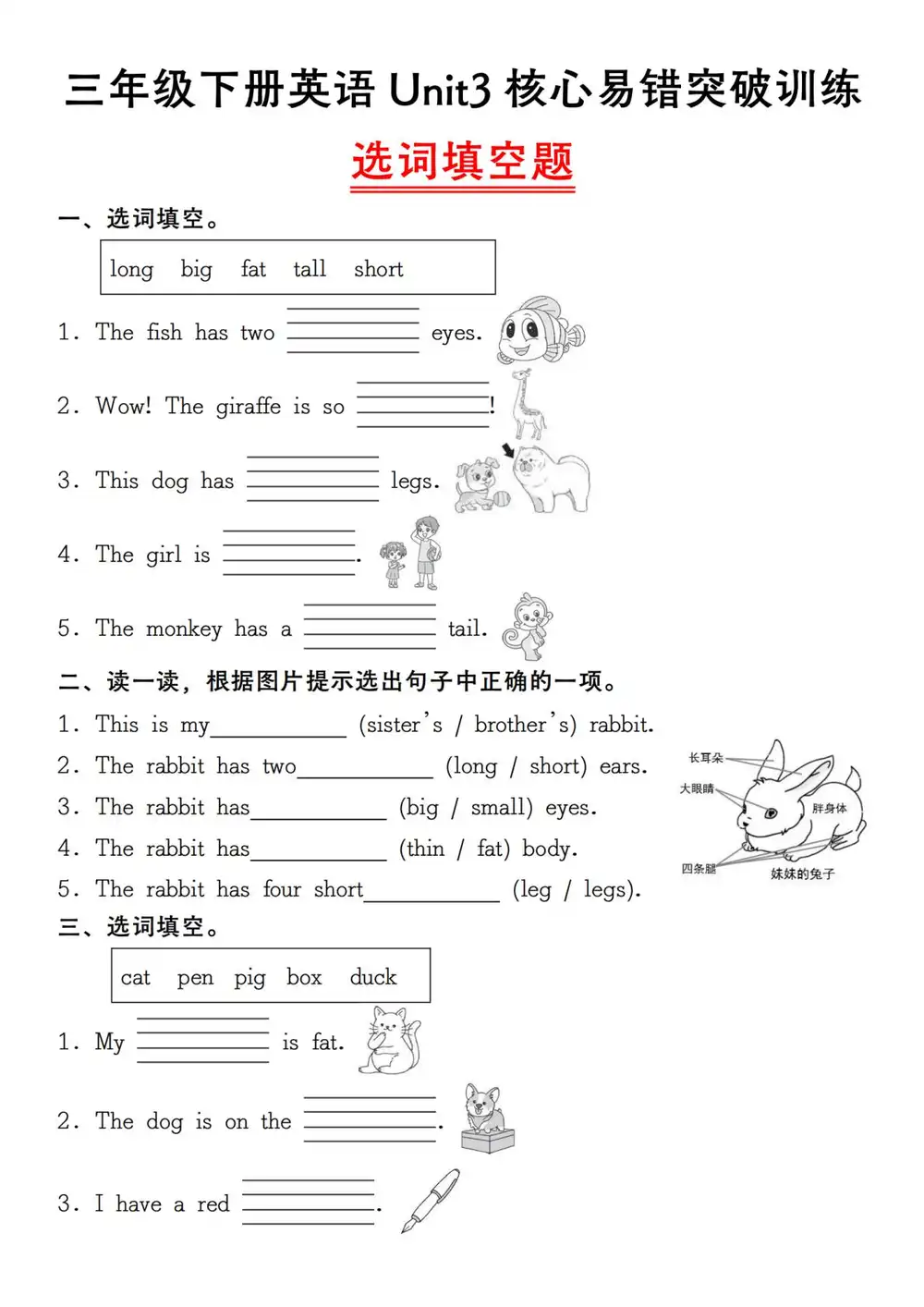暂无预览