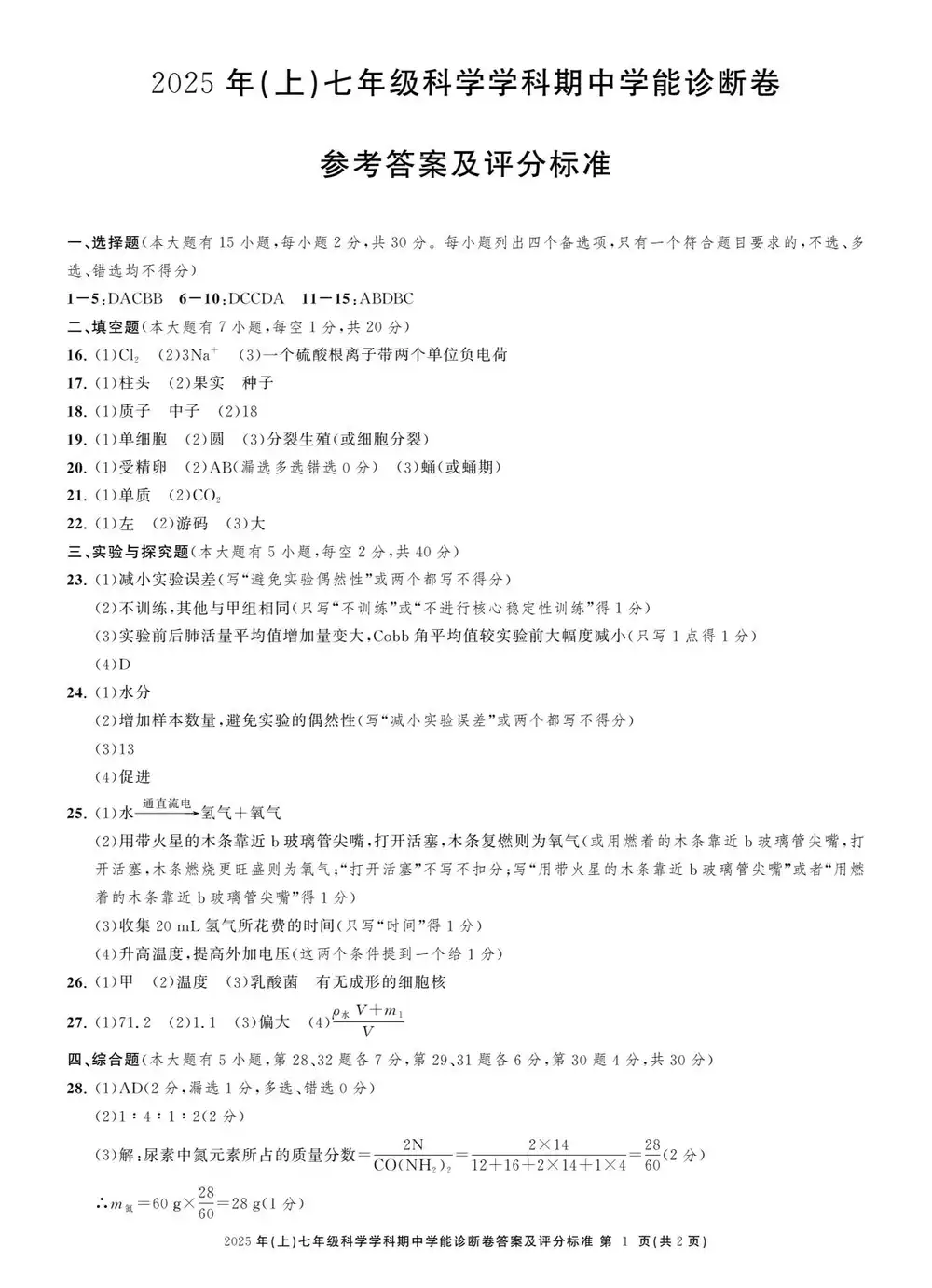 暂无预览