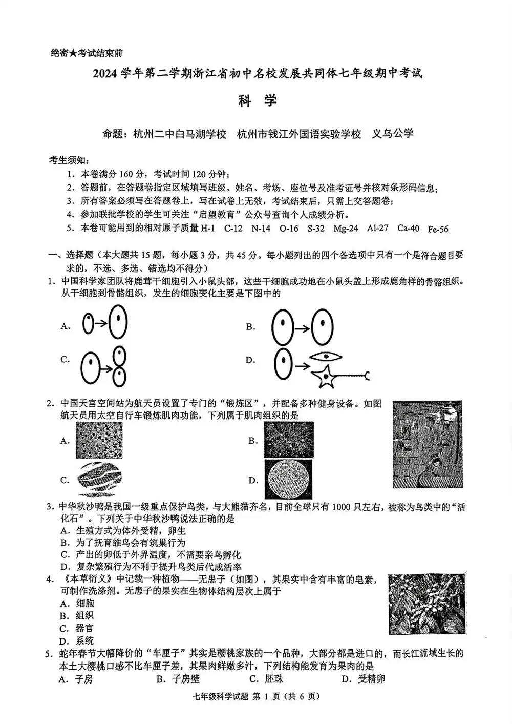 暂无预览