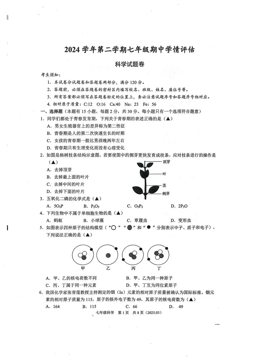 暂无预览