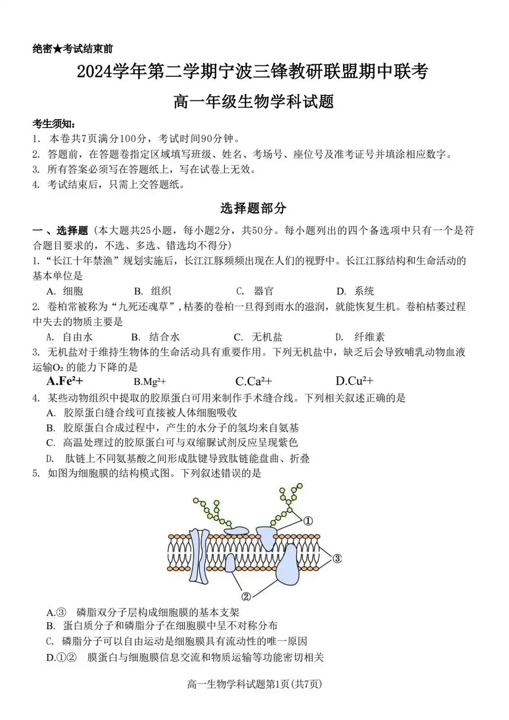 暂无预览