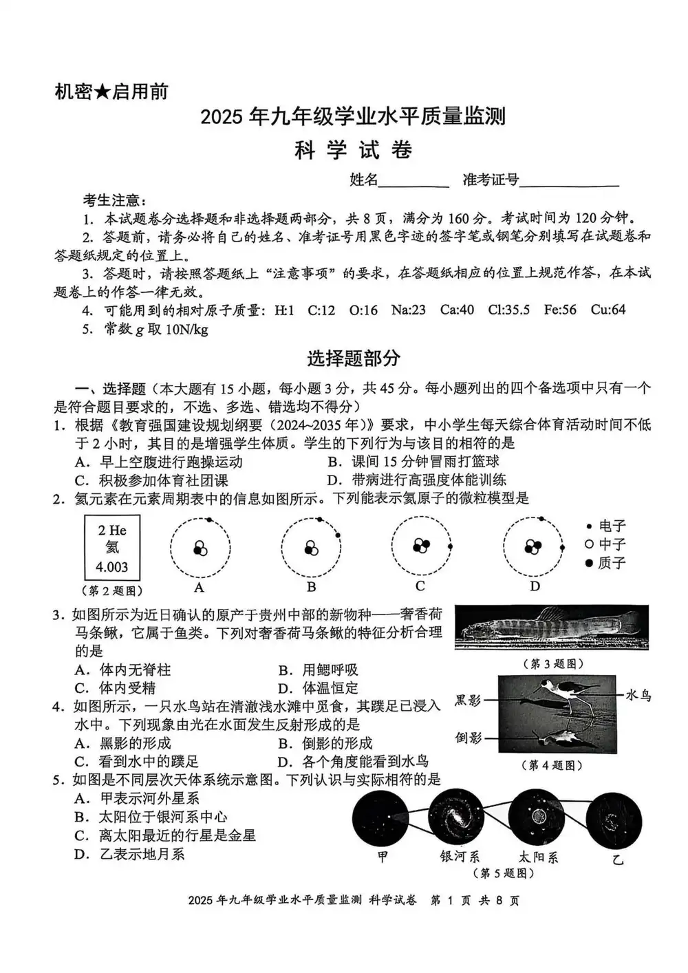 暂无预览