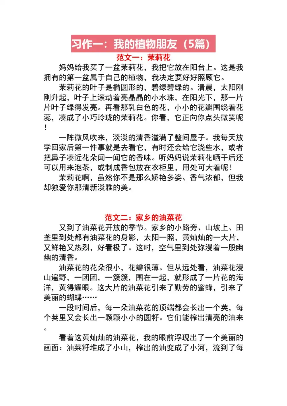 暂无预览