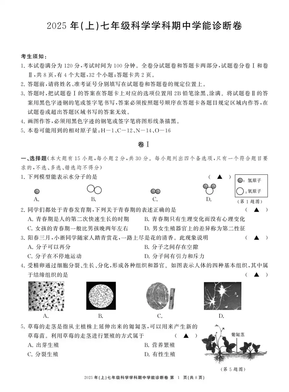 暂无预览