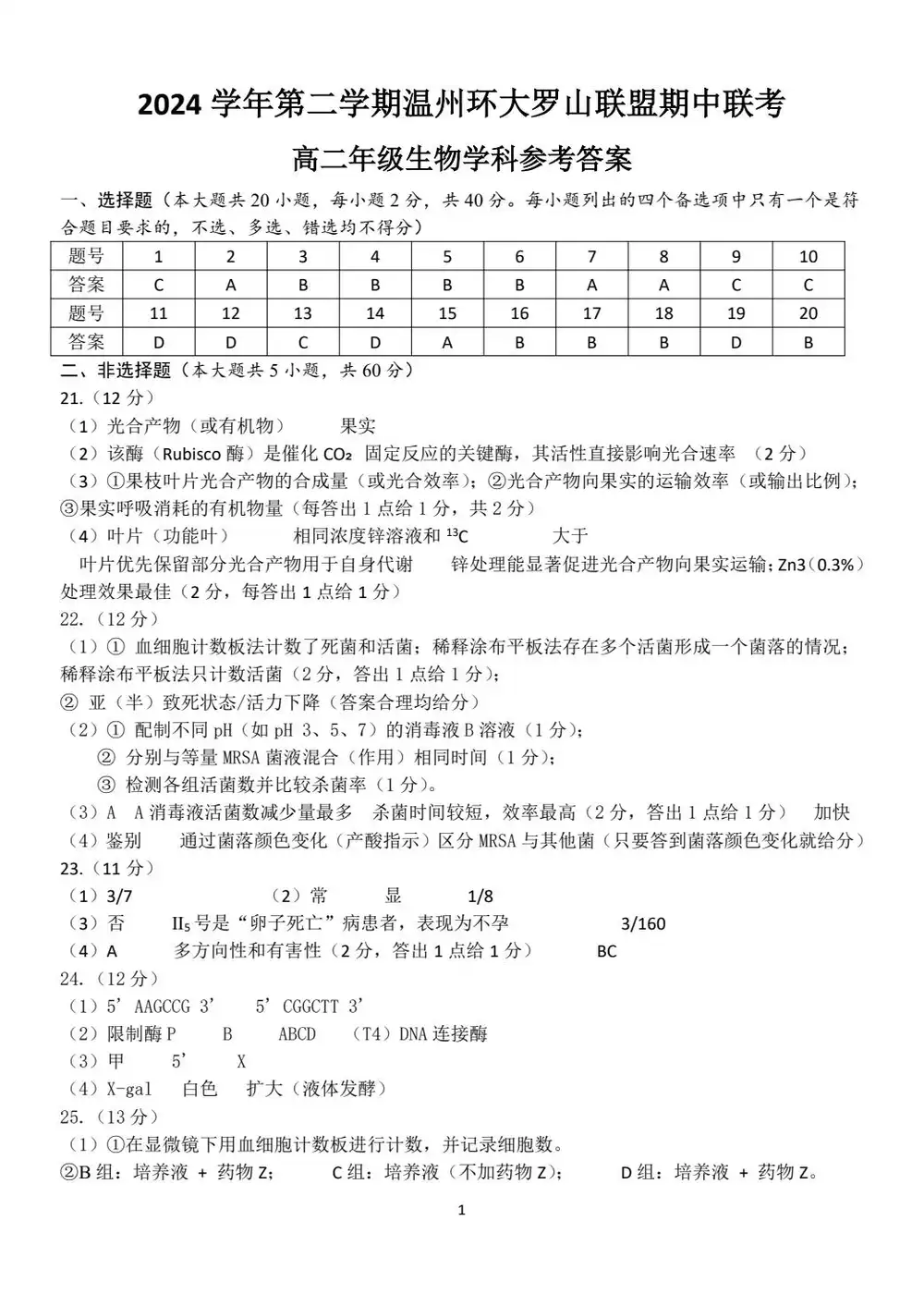 暂无预览