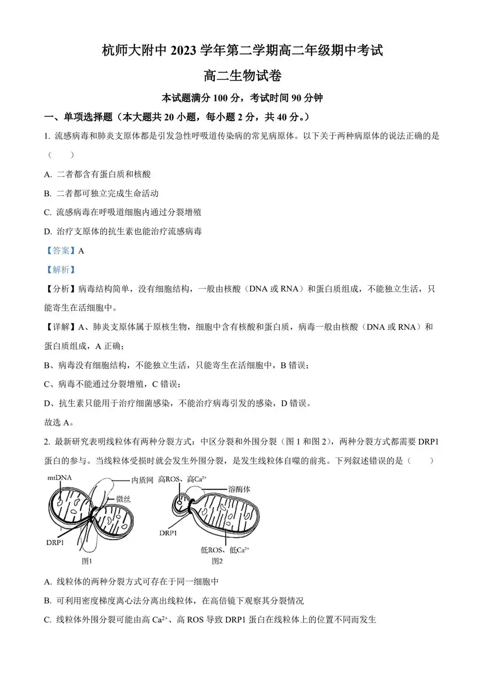 暂无预览