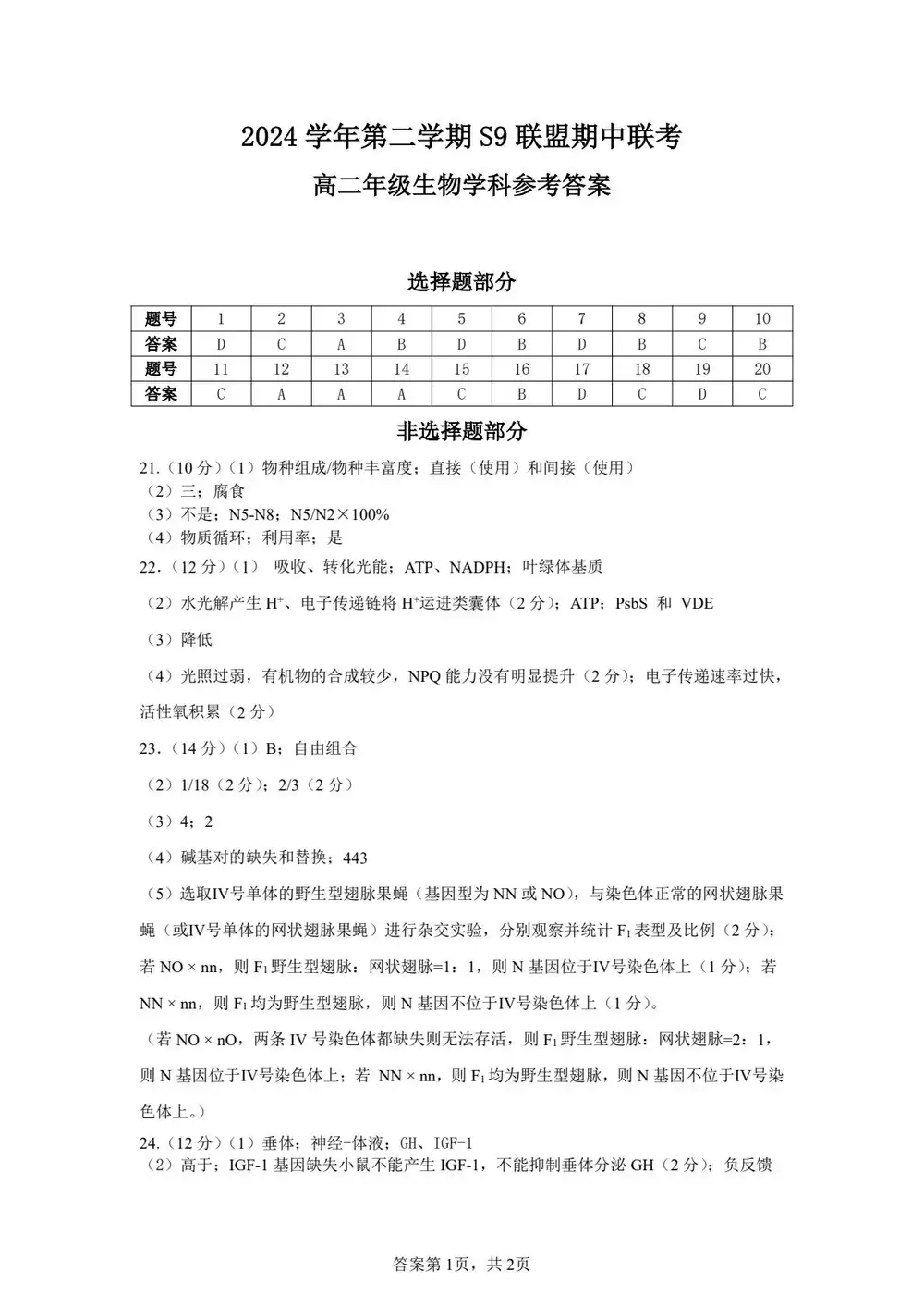 暂无预览