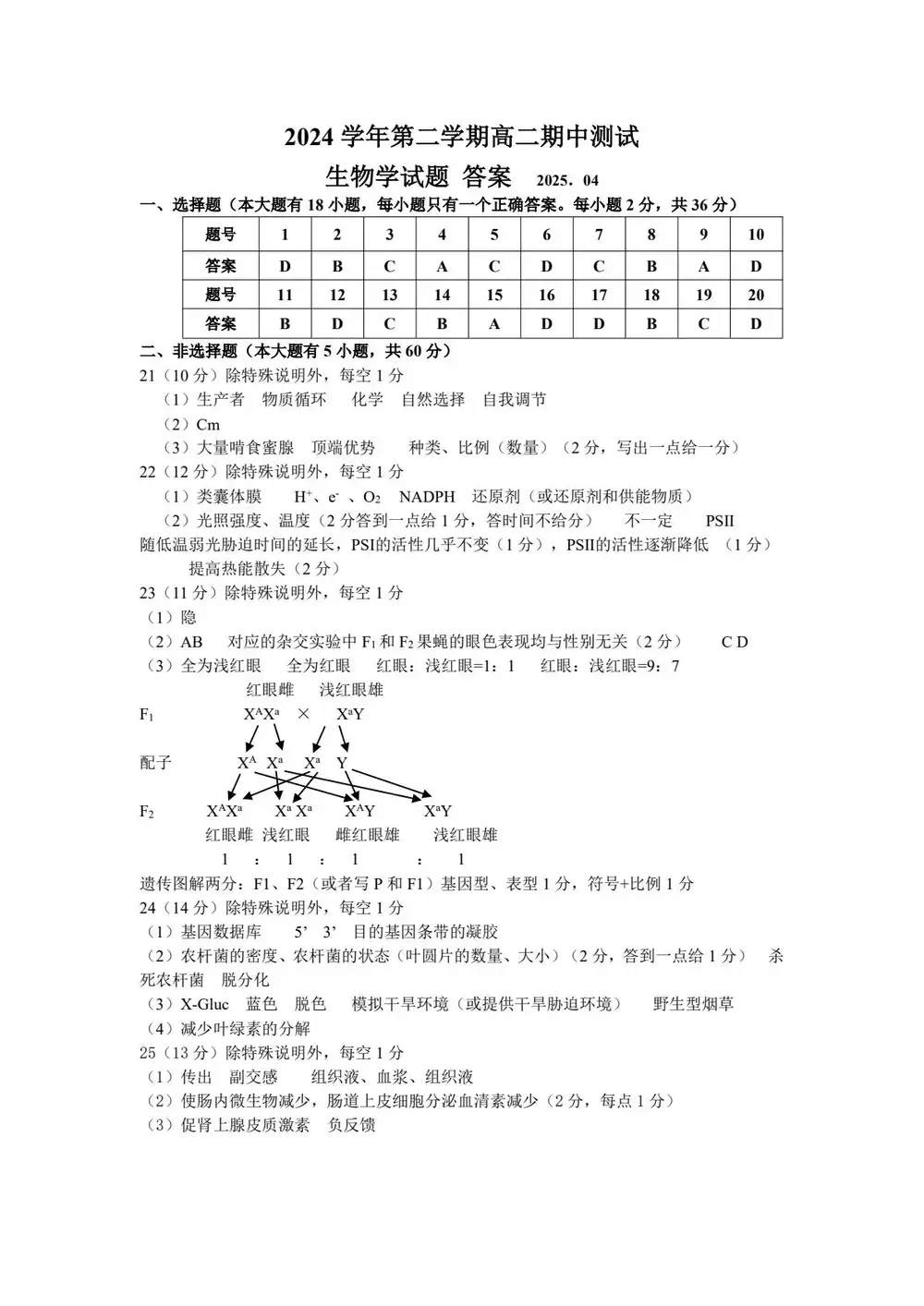 暂无预览