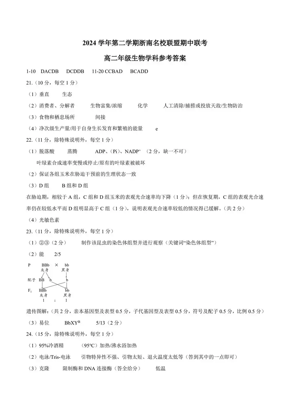 暂无预览