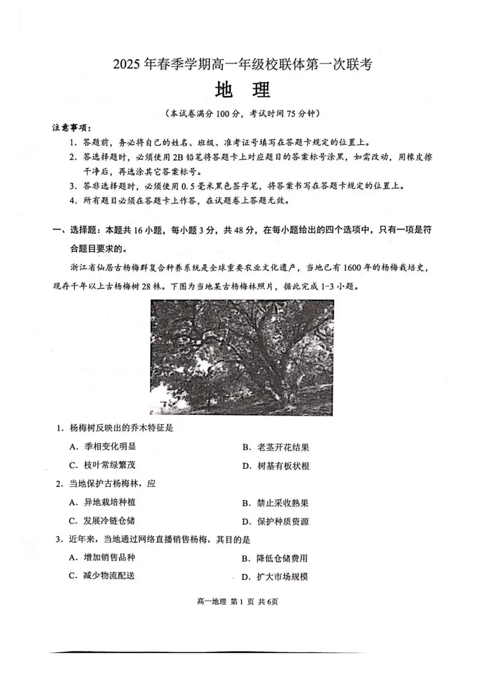 暂无预览