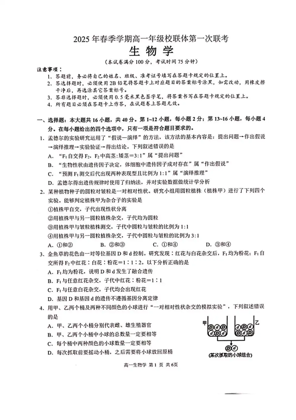 暂无预览