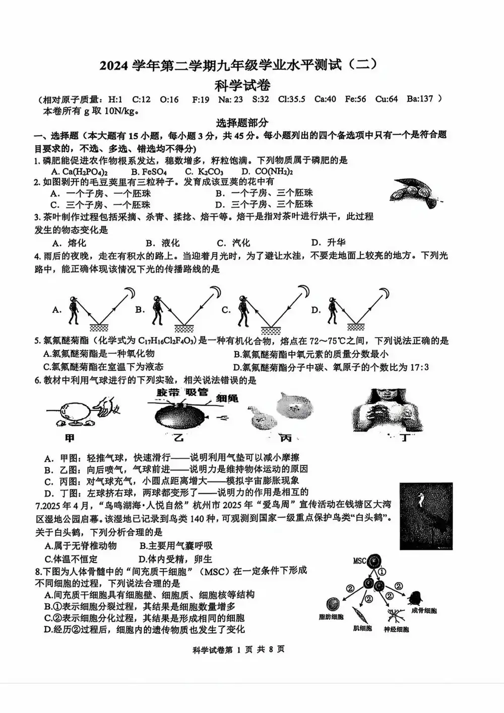 暂无预览