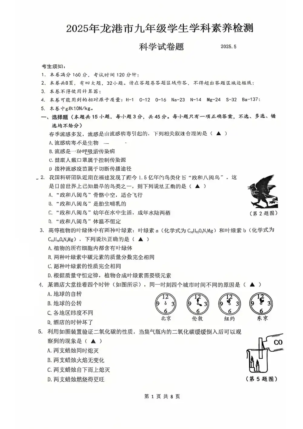 暂无预览