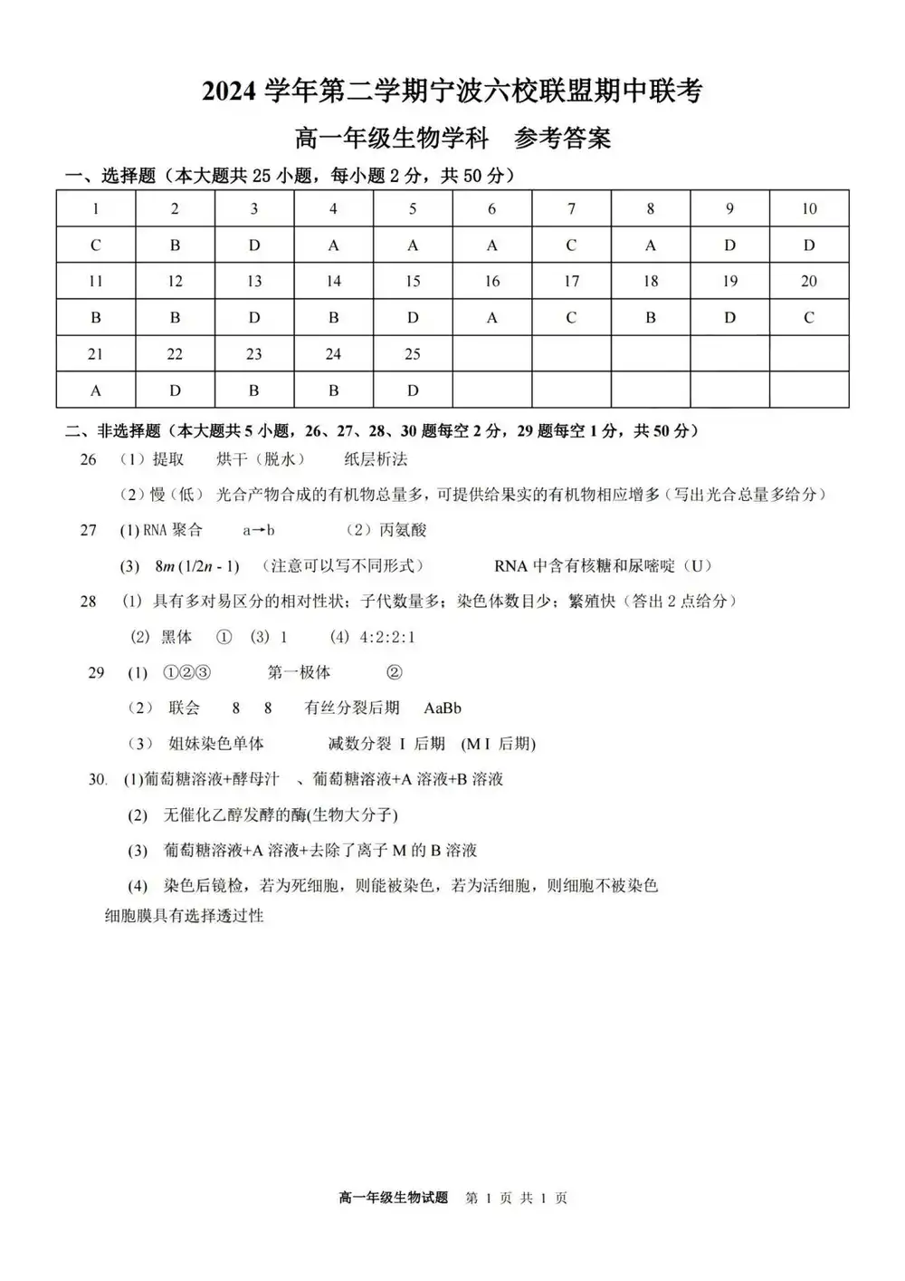 暂无预览