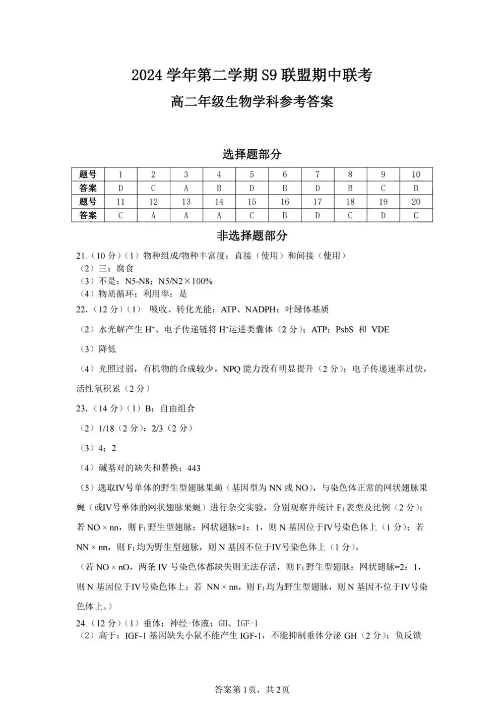 暂无预览