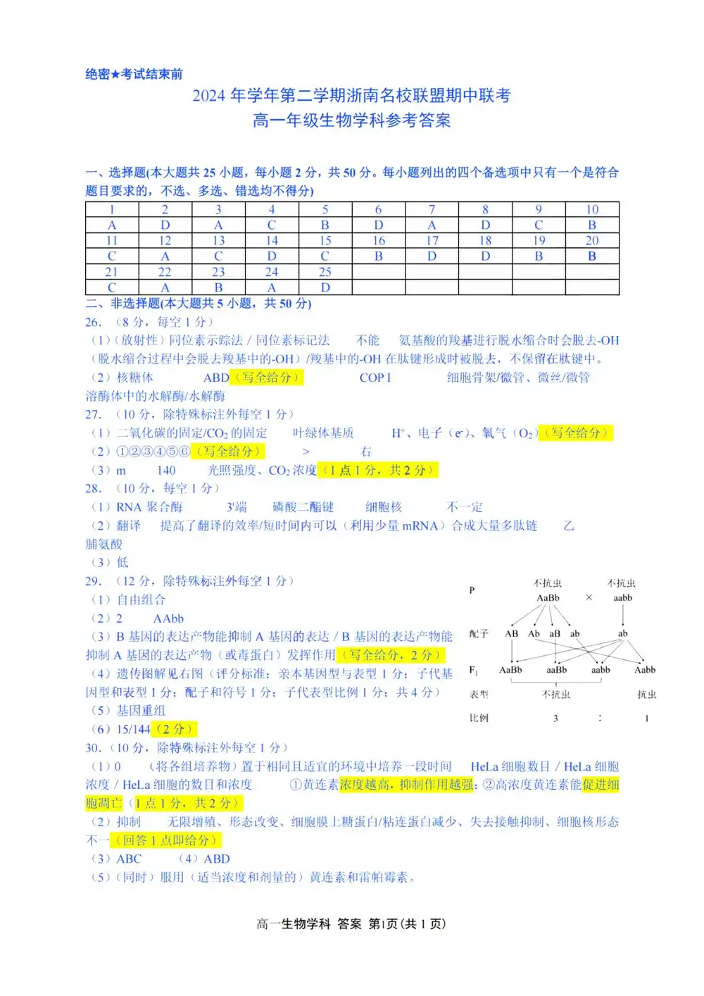 暂无预览