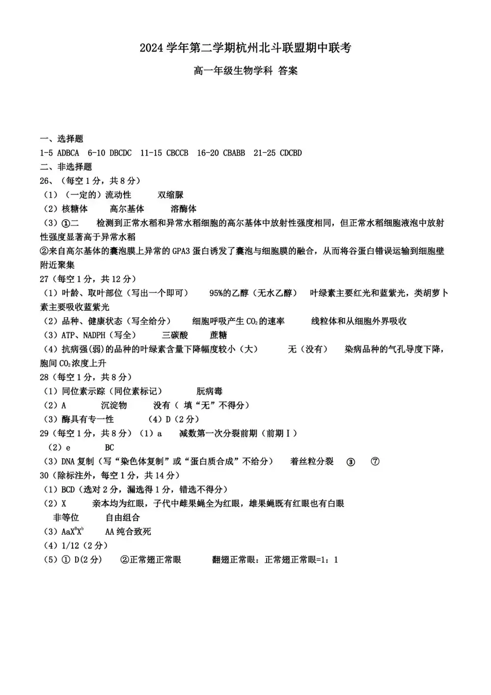 暂无预览