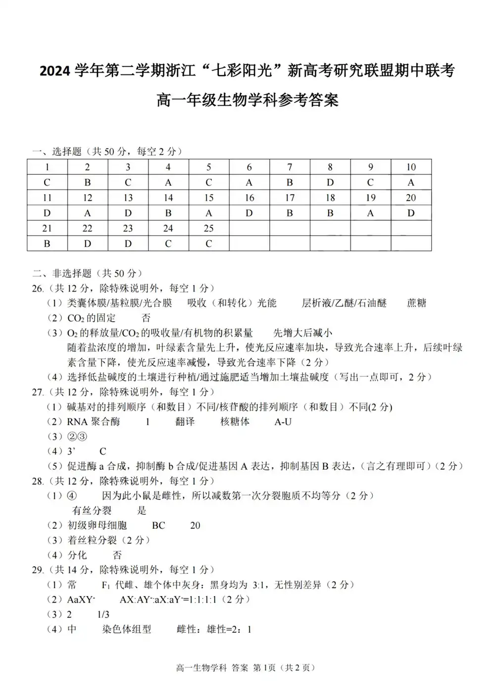 暂无预览