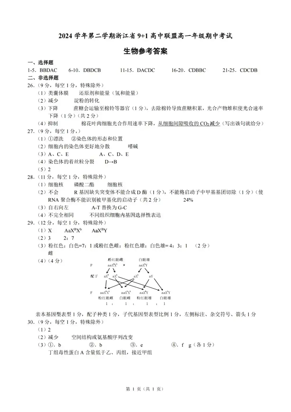 暂无预览